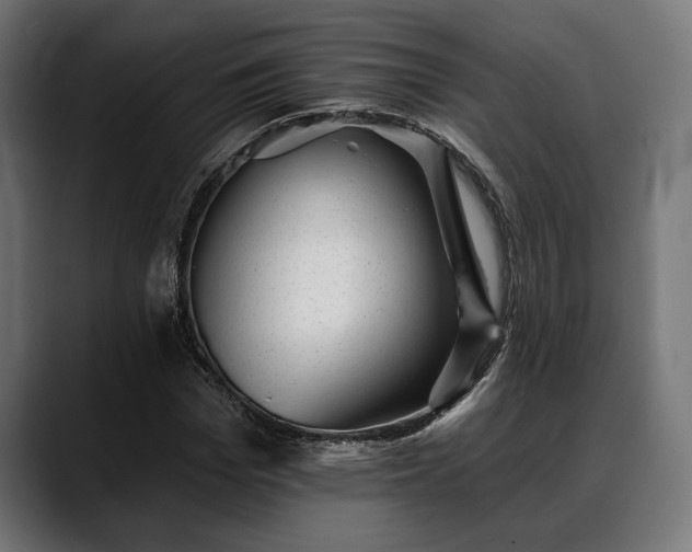 X0000088450969200705291509
