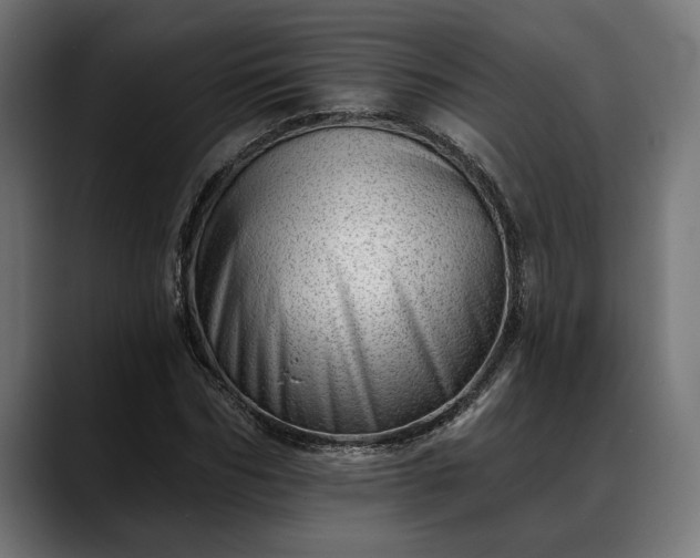 X0000088450970200705291509