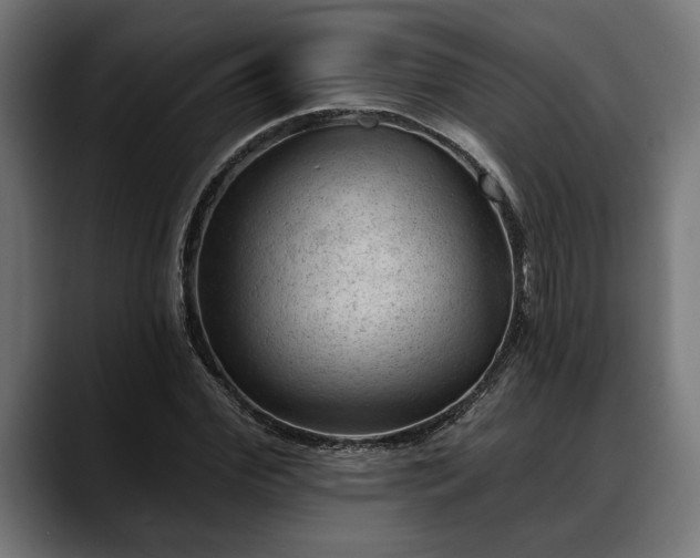 X0000088450972200705291509