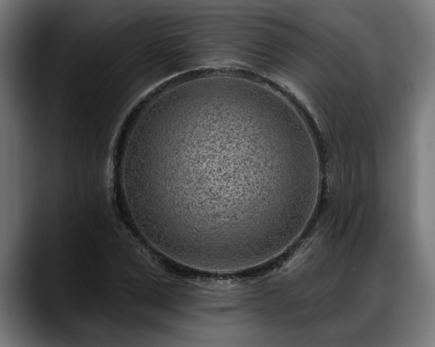 X0000088450975200705291509
