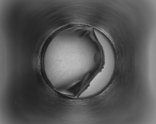 X0000088450976200705291509