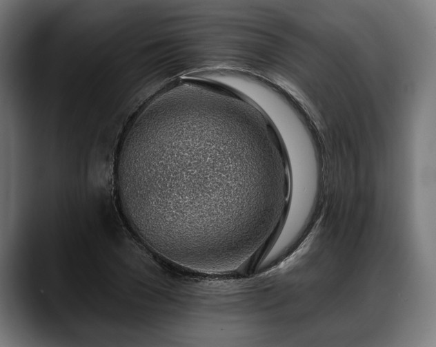 X0000088450977200705291509