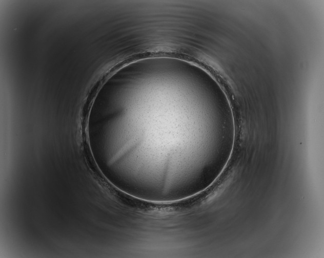 X0000088450978200705291509