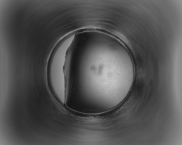 X0000088450980200705291509