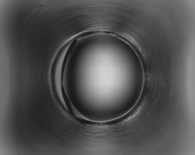 X0000088450981200705291509