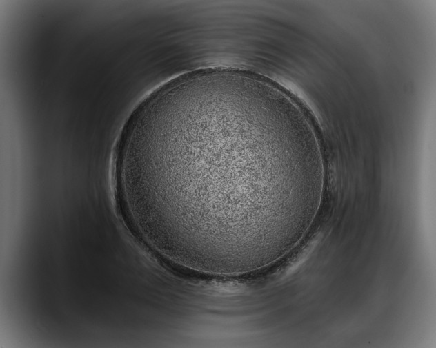 X0000088450983200705291509