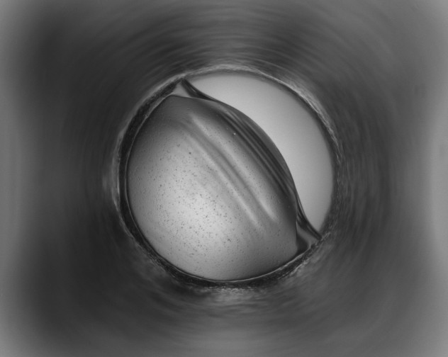 X0000088450984200705291509