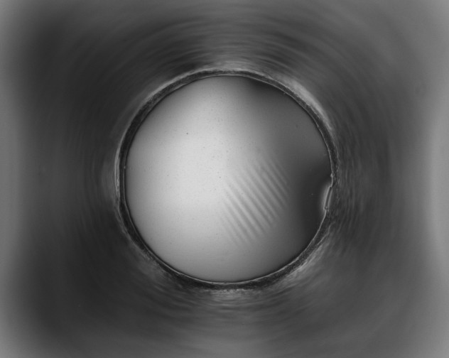 X0000088450988200705291509