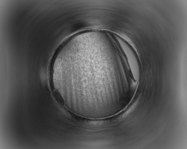 X0000088450989200705291509