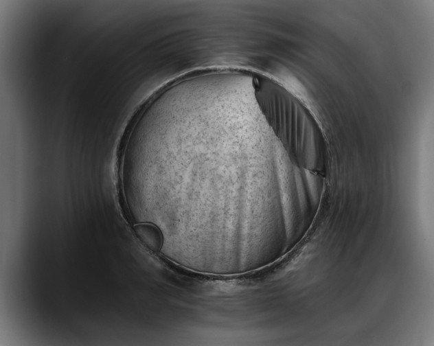 X0000088450990200705291509