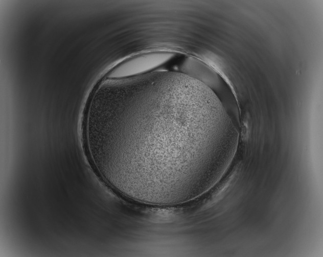 X0000088450995200705291509