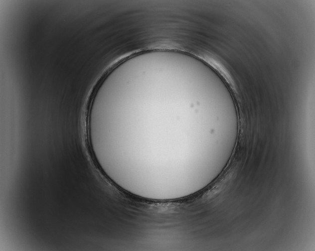 X0000088451000200705291509
