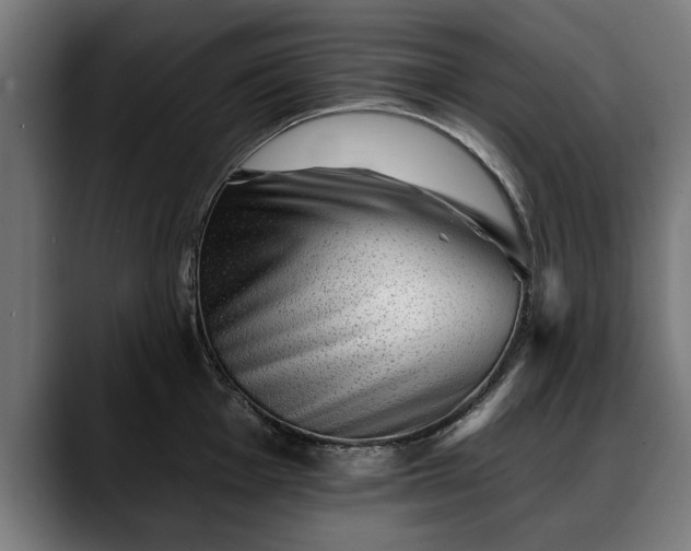 X0000088451001200705291509