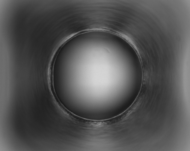 X0000088451003200705291509
