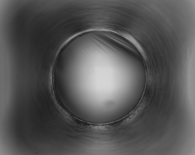 X0000088451004200705291509