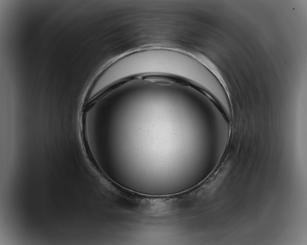X0000088451005200705291509