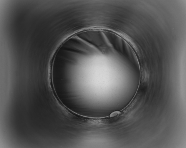 X0000088451006200705291509