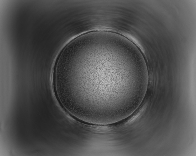 X0000088451007200705291509