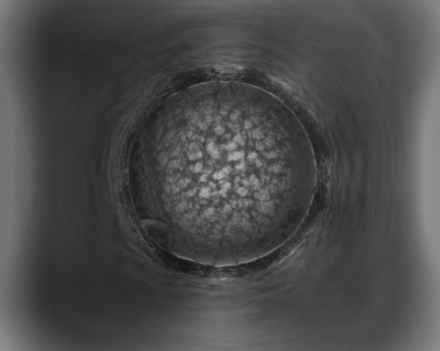 X0000088451009200705291508