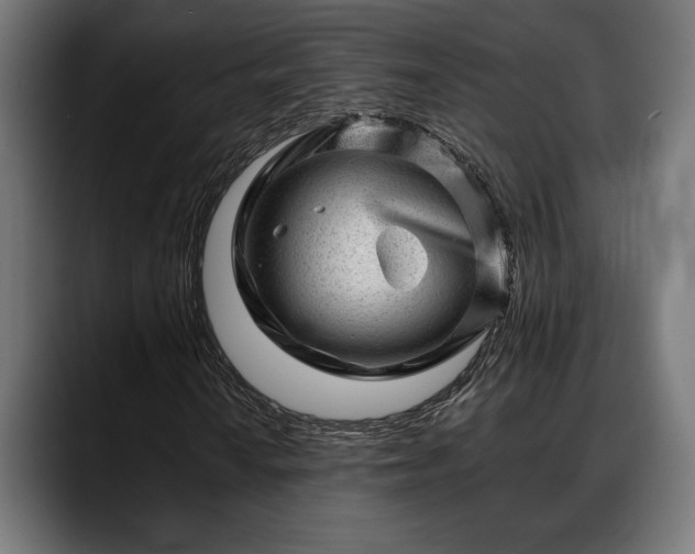 X0000088451010200705291508