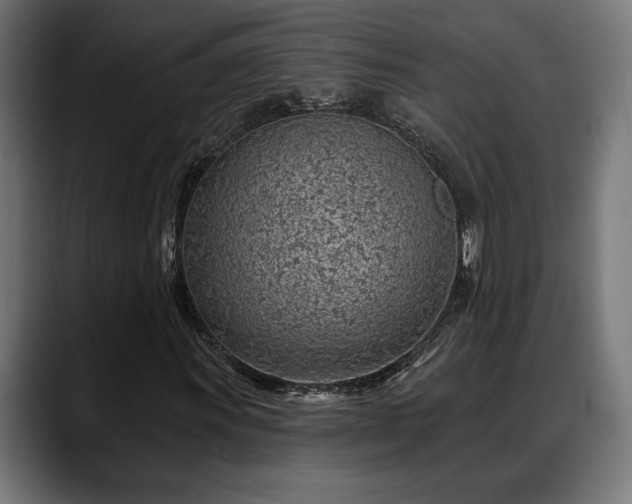 X0000088451011200705291508