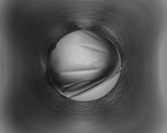 X0000088451012200705291508