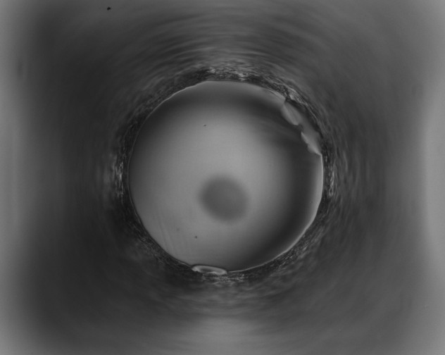 X0000088451013200705291508