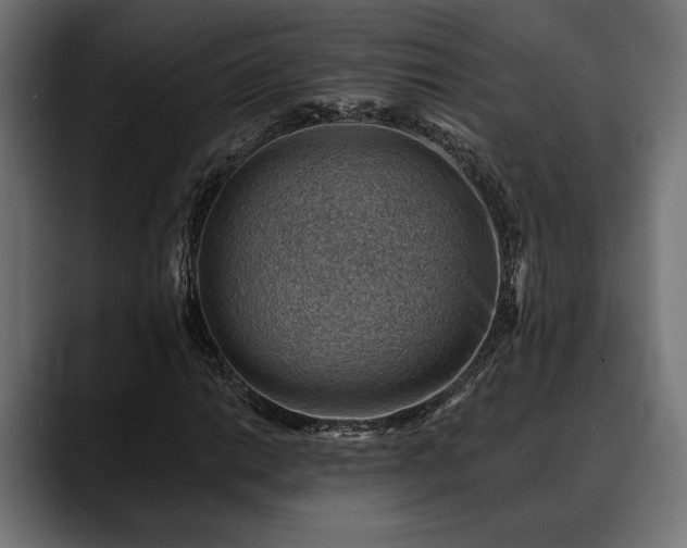 X0000088451014200705291508