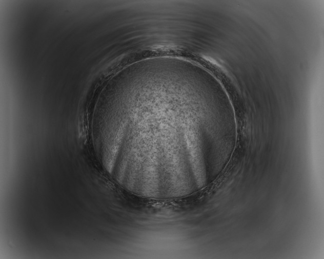 X0000088451015200705291509