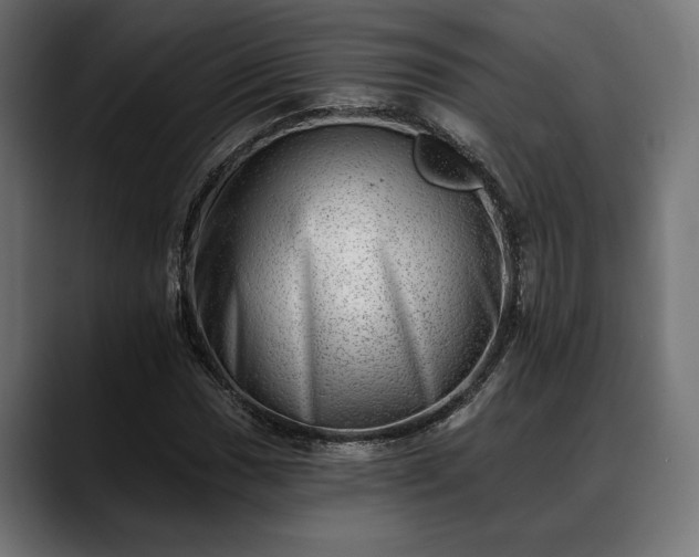 X0000088451017200705291509