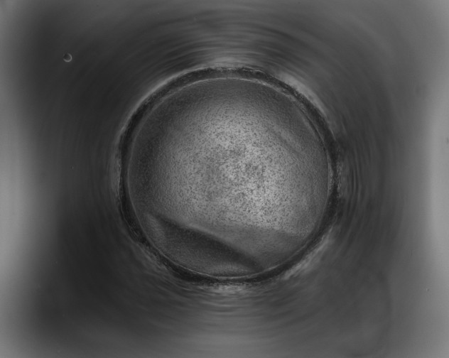 X0000088451021200705291509