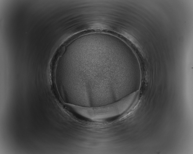 X0000088451022200705291509