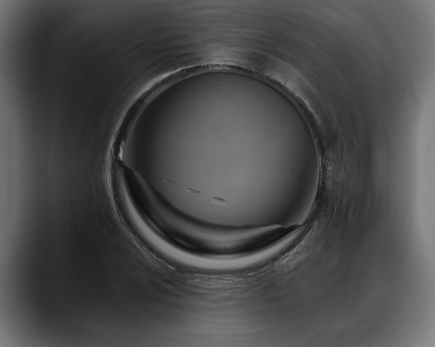X0000088451024200705291509