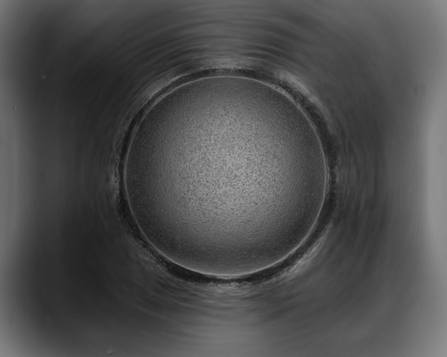 X0000088451025200705291509