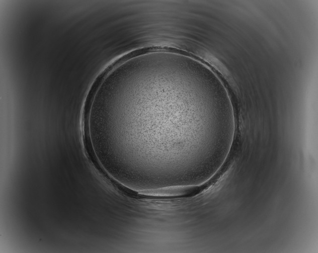 X0000088451028200705291509