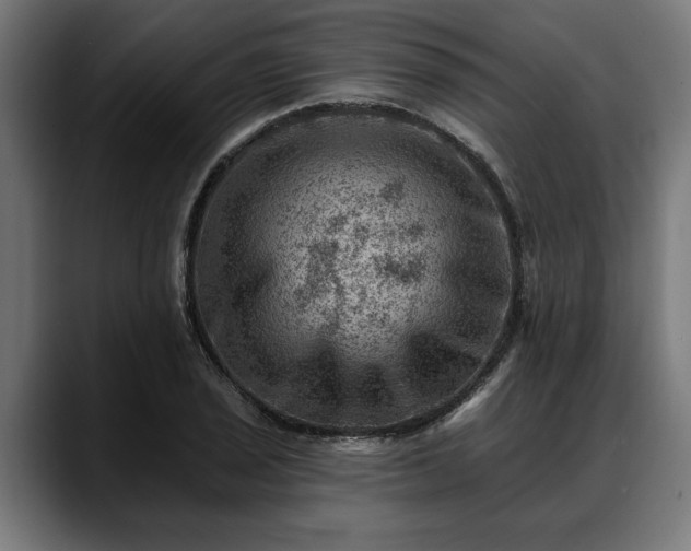 X0000088451029200705291509