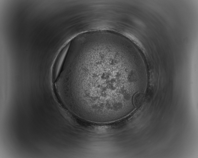 X0000088451031200705291509