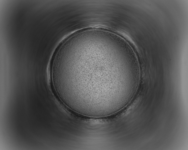 X0000088451032200705291509