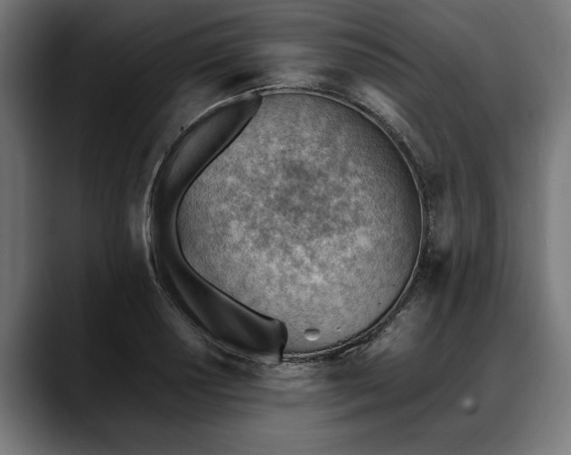 X0000088451034200705291509