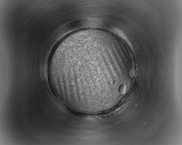 X0000088451035200705291509