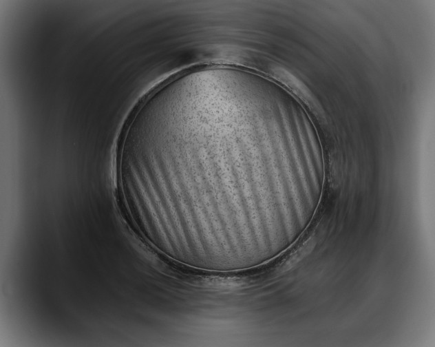X0000088451036200705291509