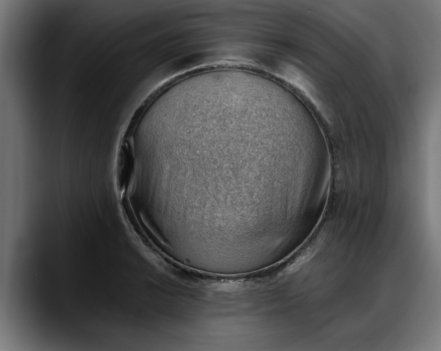 X0000088451038200705291509