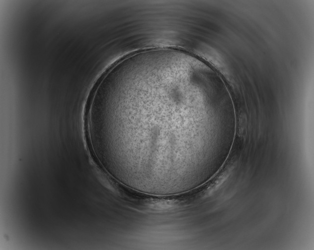 X0000088451039200705291509