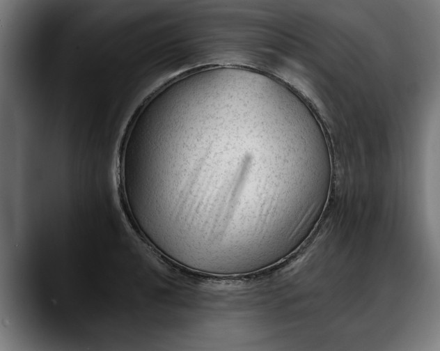 X0000088451040200705291509