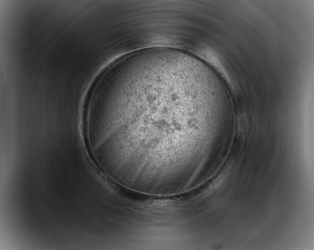 X0000088451043200705291509