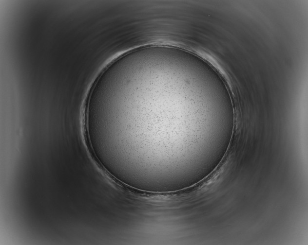 X0000088451048200705291509