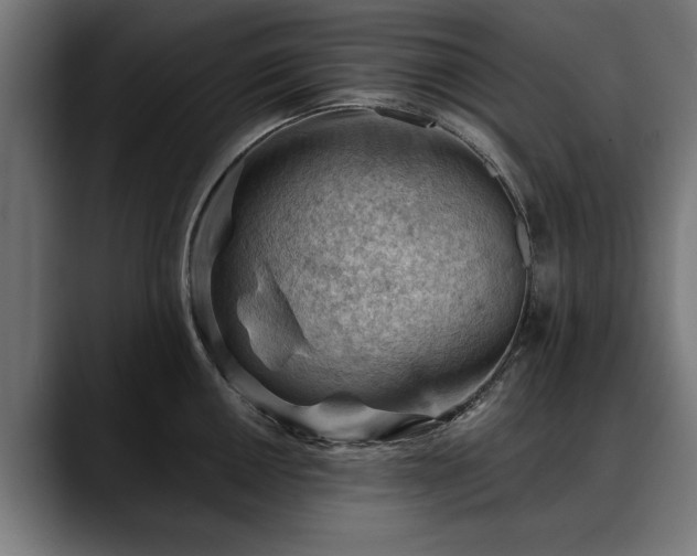 X0000088451050200705291509