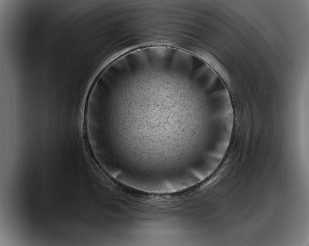 X0000088451052200705291509