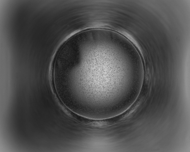 X0000088451053200705291509