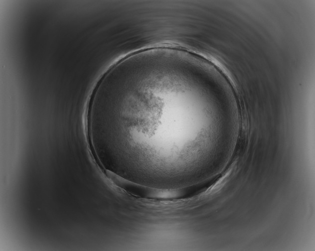X0000088451054200705291509